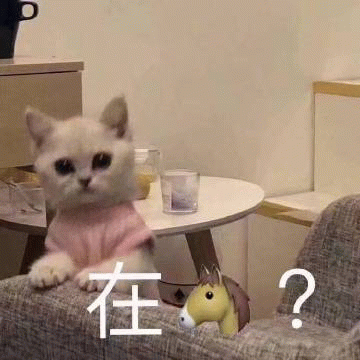 示例图片
